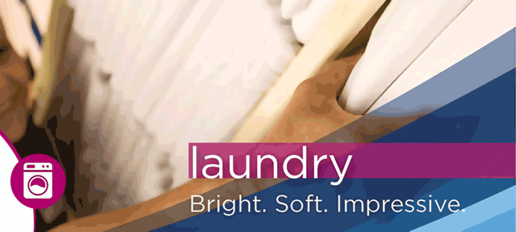 LaundrySS